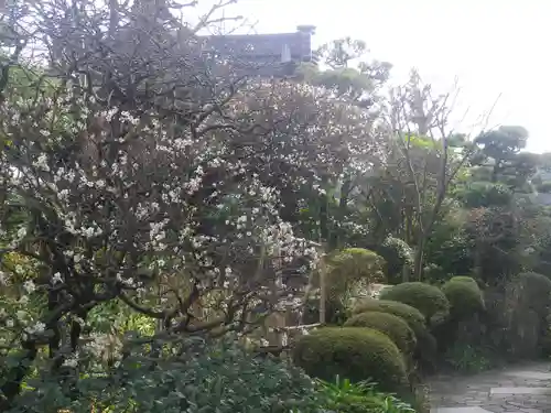 大巧寺の庭園