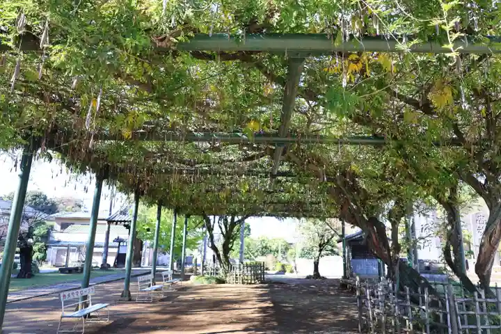 慈恩寺(埼玉県)