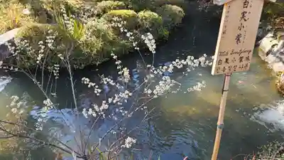 天龍寺(京都府)