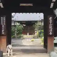 龍潭寺の山門・神門
