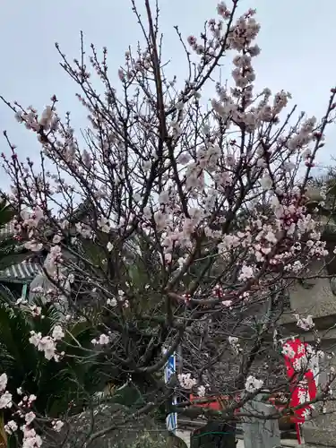 粉河寺(和歌山県)
