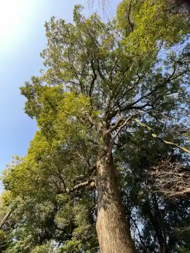 鞆江神社（明地）(愛知県)