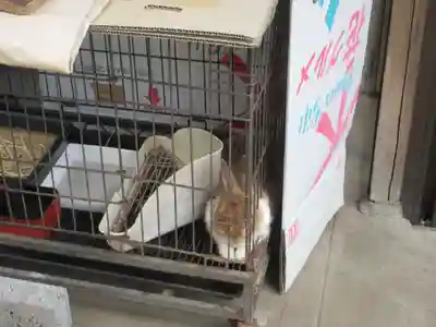 秩父札所十三番 慈眼寺(埼玉県)