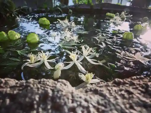 立志神社の手水舎