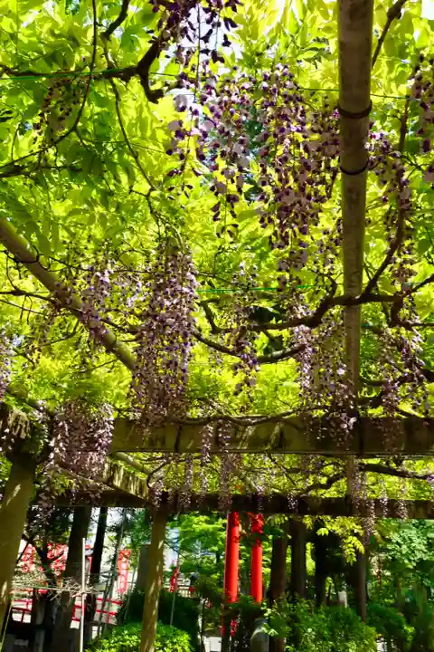 立木神社(滋賀県)