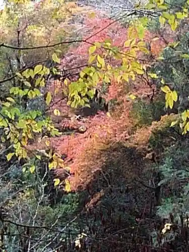 高尾山薬王院の景色