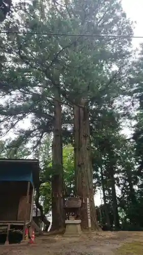 米川八幡神社の自然
