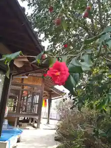 石内のお大師さん 金剛院(広島県)(2023年03月09日(木) 10時45分35秒投稿)