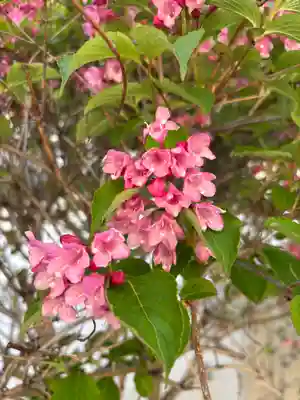 時光寺(兵庫県)