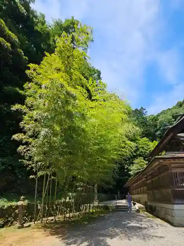 美保神社(島根県)
