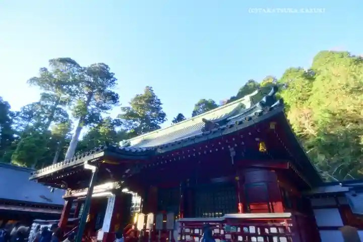箱根神社(神奈川県)