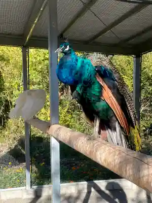 進雄神社(群馬県)