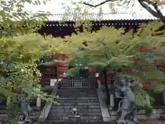 養玉院如来寺(東京都)