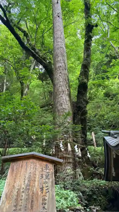 貴船神社奥宮(京都府)