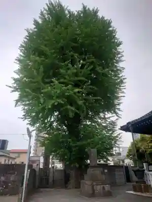 法禅寺の{uncategorized: "未分類", other: "その他", undefined: "問題あり", building: "その他建物", grave: "お墓", sacred_gate: "鳥居", guardian: "狛犬", statue: "像", buddha: "仏像", history: "歴史", nature: "自然", garden: "庭園", animal: "動物", pagoda: "塔", temizu: "手水舎", mountain_gate: "山門・神門", sanctuary: "本殿・本堂", subordinate: "末社・摂社", art: "芸術", scenery: "景色", jizo: "地蔵", ema: "絵馬", goshuin: "御朱印", omikuji: "おみくじ", items: "授与品その他", amulet: "お守り", goshuincho: "御朱印帳", eats: "食事", festival: "お祭り", votive_dance: "神楽", shichigosan: "七五三参", wedding: "結婚式", experience: "体験その他", initially: "初詣", around: "周辺", anti_infection: "感染症対策"}