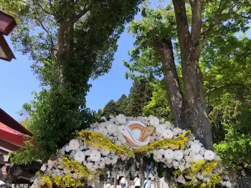 金蛇水神社の{uncategorized: "未分類", other: "その他", undefined: "問題あり", building: "その他建物", grave: "お墓", sacred_gate: "鳥居", guardian: "狛犬", statue: "像", buddha: "仏像", history: "歴史", nature: "自然", garden: "庭園", animal: "動物", pagoda: "塔", temizu: "手水舎", mountain_gate: "山門・神門", sanctuary: "本殿・本堂", subordinate: "末社・摂社", art: "芸術", scenery: "景色", jizo: "地蔵", ema: "絵馬", goshuin: "御朱印", omikuji: "おみくじ", items: "授与品その他", amulet: "お守り", goshuincho: "御朱印帳", eats: "食事", festival: "お祭り", votive_dance: "神楽", shichigosan: "七五三参", wedding: "結婚式", experience: "体験その他", initially: "初詣", around: "周辺", anti_infection: "感染症対策"}