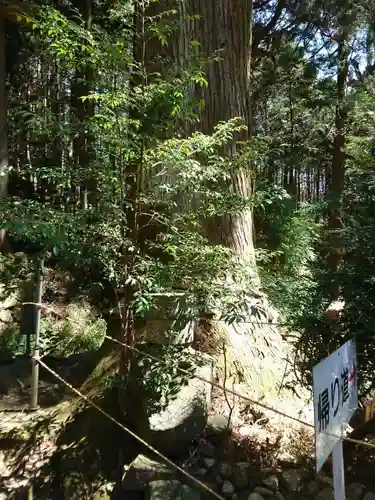 福王神社の自然