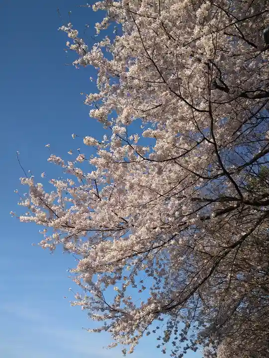 足高神社の自然
