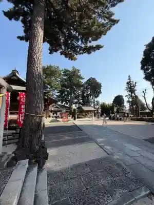 中野沼袋氷川神社の{uncategorized: "未分類", other: "その他", undefined: "問題あり", building: "その他建物", grave: "お墓", sacred_gate: "鳥居", guardian: "狛犬", statue: "像", buddha: "仏像", history: "歴史", nature: "自然", garden: "庭園", animal: "動物", pagoda: "塔", temizu: "手水舎", mountain_gate: "山門・神門", sanctuary: "本殿・本堂", subordinate: "末社・摂社", art: "芸術", scenery: "景色", jizo: "地蔵", ema: "絵馬", goshuin: "御朱印", omikuji: "おみくじ", items: "授与品その他", amulet: "お守り", goshuincho: "御朱印帳", eats: "食事", festival: "お祭り", votive_dance: "神楽", shichigosan: "七五三参", wedding: "結婚式", experience: "体験その他", initially: "初詣", around: "周辺", anti_infection: "感染症対策"}
