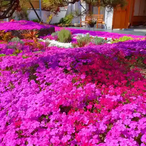 寿量山　速成寺(奈良県)