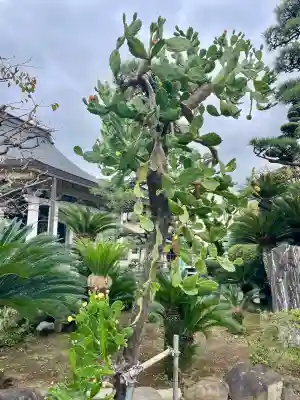 延命寺(神奈川県)