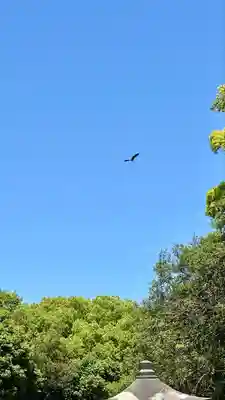 橿原神宮(奈良県)