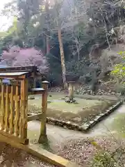 伊野天照皇大神宮の建物その他