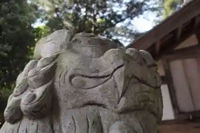小被神社の狛犬