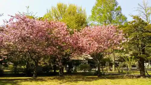 有珠善光寺の庭園