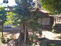 大宮住吉神社の建物その他