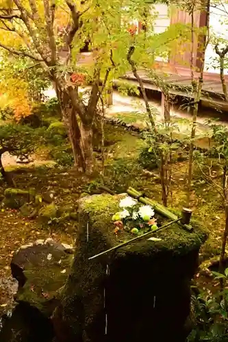 安楽寺(京都府)