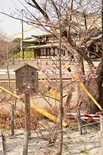 宮地嶽神社(福岡県)