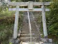 津島神社の鳥居