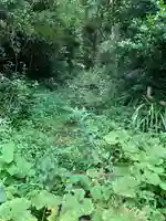 諏訪神社の周辺