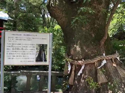 住吉神社の自然