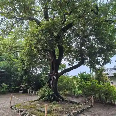 賣太神社(奈良県)