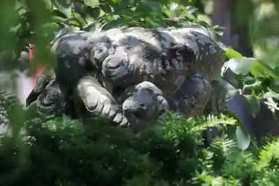高司神社〜むすびの神の鎮まる社〜の狛犬