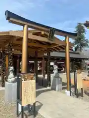 大杉神社(茨城県)