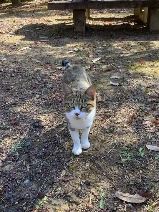玉野御嶽神社の動物