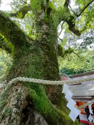 熊野那智大社(和歌山県)