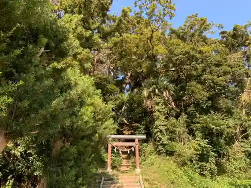 妙見神社の鳥居