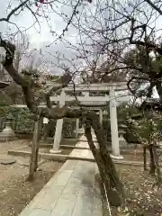 北野天満宮の鳥居