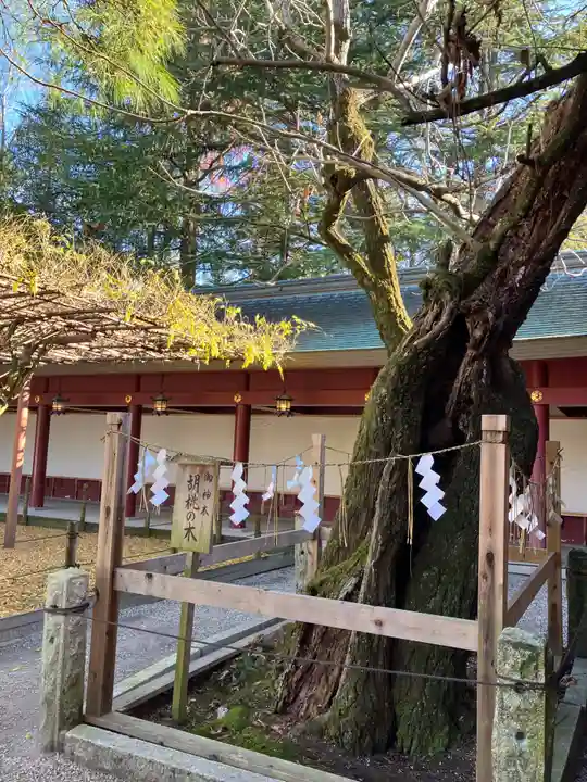 笠間稲荷神社(茨城県)