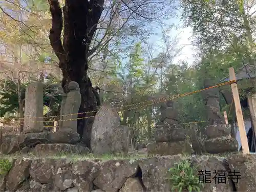 龍福寺 鳥羽堂観音(長野県)