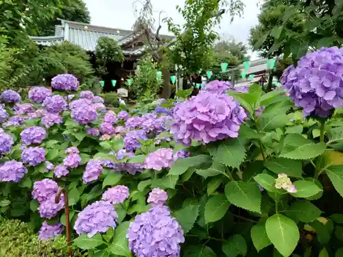白山神社の自然