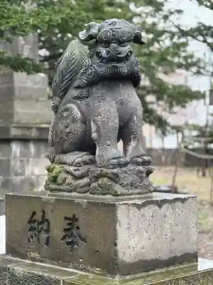新琴似神社の狛犬
