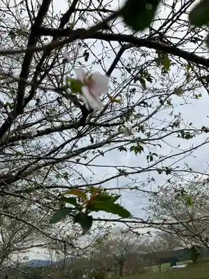 亀岡八幡宮(栃木県)