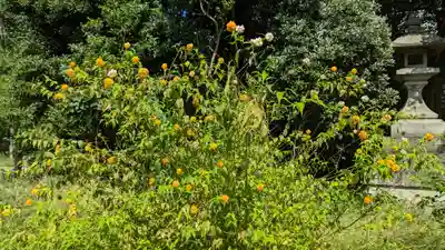 梨木神社(京都府)