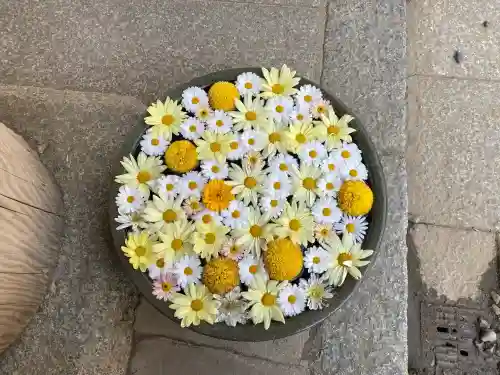 山﨑八幡宮の{uncategorized: "未分類", other: "その他", undefined: "問題あり", building: "その他建物", grave: "お墓", sacred_gate: "鳥居", guardian: "狛犬", statue: "像", buddha: "仏像", history: "歴史", nature: "自然", garden: "庭園", animal: "動物", pagoda: "塔", temizu: "手水舎", mountain_gate: "山門・神門", sanctuary: "本殿・本堂", subordinate: "末社・摂社", art: "芸術", scenery: "景色", jizo: "地蔵", ema: "絵馬", goshuin: "御朱印", omikuji: "おみくじ", items: "授与品その他", amulet: "お守り", goshuincho: "御朱印帳", eats: "食事", festival: "お祭り", votive_dance: "神楽", shichigosan: "七五三参", wedding: "結婚式", experience: "体験その他", initially: "初詣", around: "周辺", anti_infection: "感染症対策"}