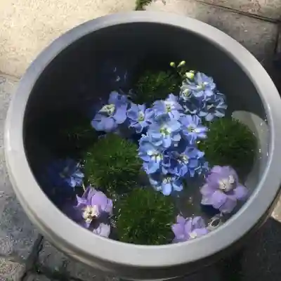 住吉神社の手水舎